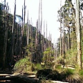 IMAG1268