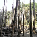 IMAG1276