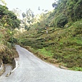IMAG1296