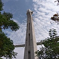 IMAG6753.jpg