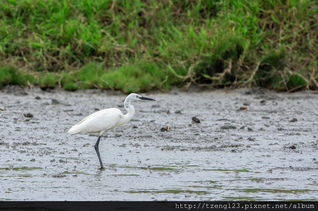 DSC_3959-編輯.jpg