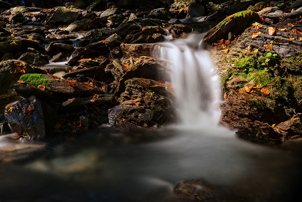 _DSC2752-編輯-編輯.jpg