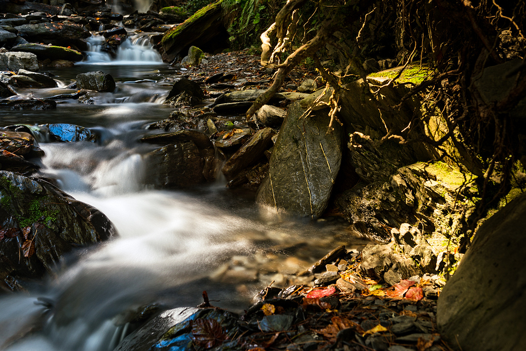 _DSC2764-編輯-編輯.jpg