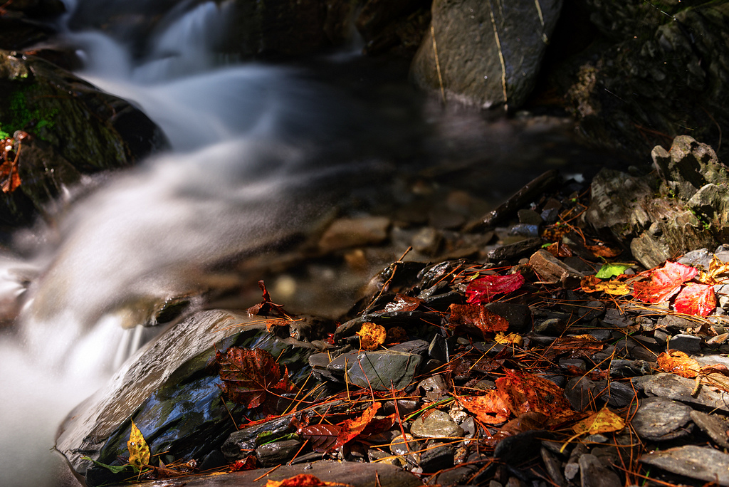 _DSC2767-編輯-編輯.jpg