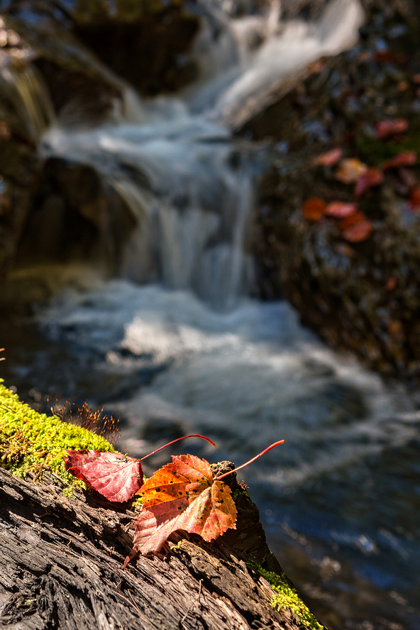 _DSC2787-編輯-編輯.jpg