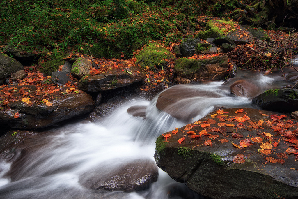 _DSC3821-編輯-編輯.jpg