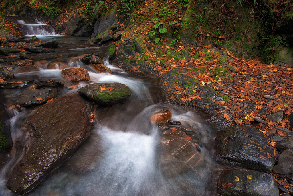 _DSC3840-編輯-編輯.jpg