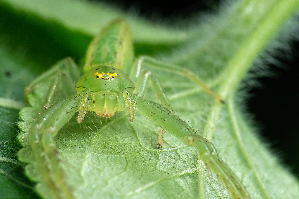 DSC_8292-編輯-編輯.jpg