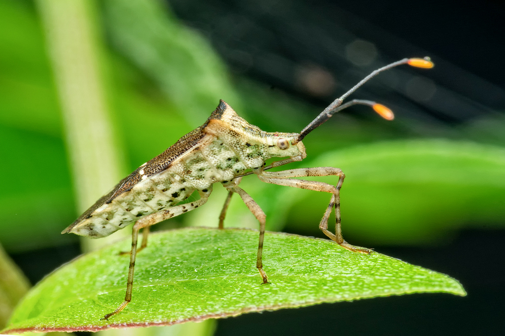 DSC_9293-編輯-編輯.jpg DSC_9293-編輯-編輯.jpg