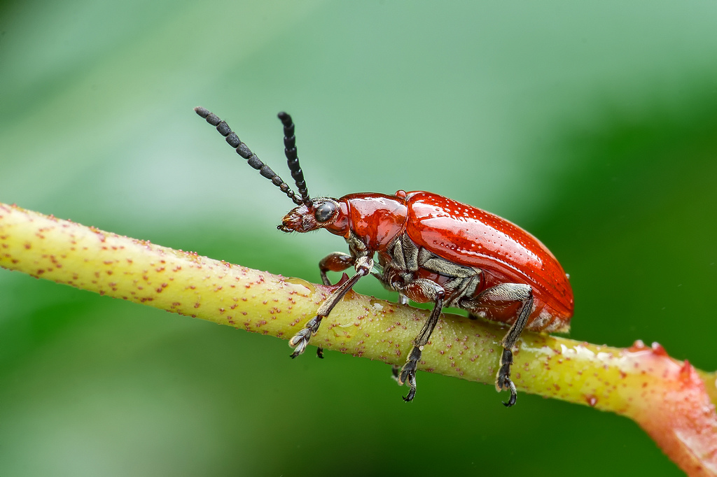 DSC_9296-編輯-編輯.jpg DSC_9296-編輯-編輯.jpg