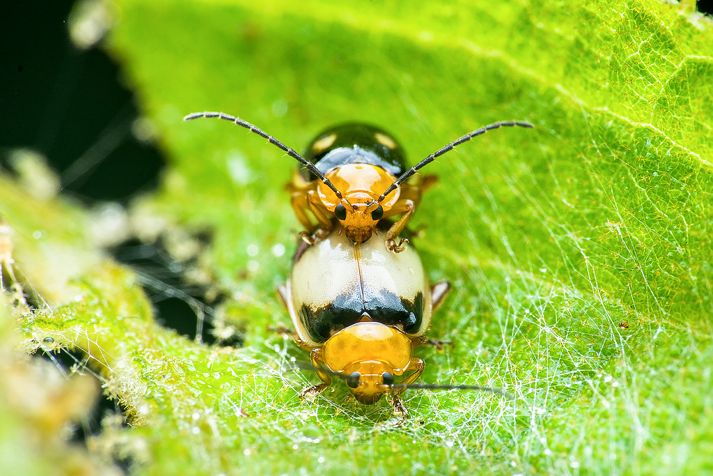 DSC_9337-編輯-編輯.jpg DSC_9337-編輯-編輯.jpg