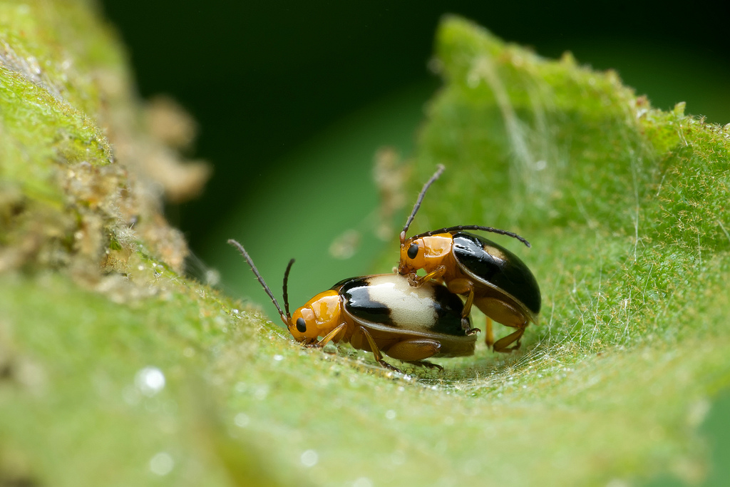 DSC_9378-編輯.jpg DSC_9378-編輯.jpg