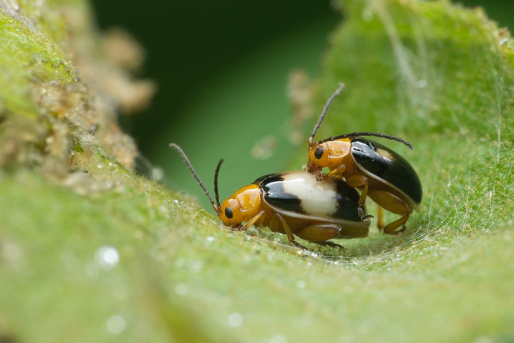 DSC_9378-編輯-1024.jpg DSC_9378-編輯-1024.jpg