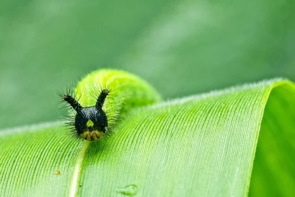 DSC_9403-編輯-編輯.jpg DSC_9403-編輯-編輯.jpg