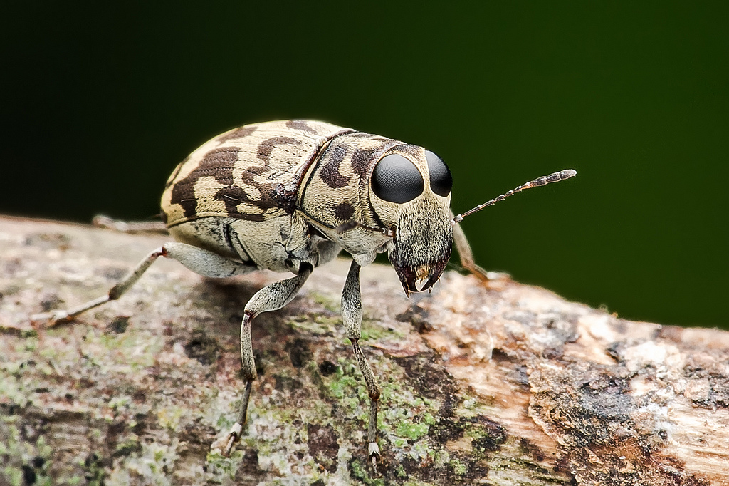 DSC_9416-編輯-編輯.jpg DSC_9416-編輯-編輯.jpg