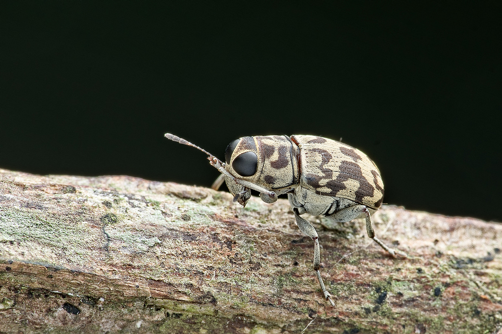 DSC_9449-編輯-編輯.jpg DSC_9449-編輯-編輯.jpg