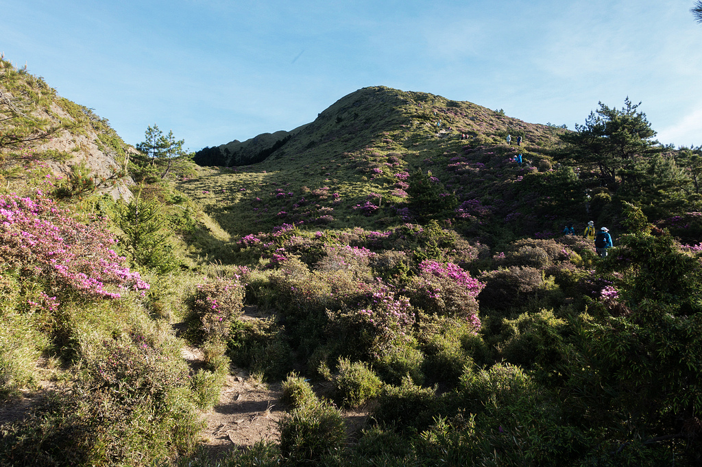 DSC01368.jpg DSC01368.jpg