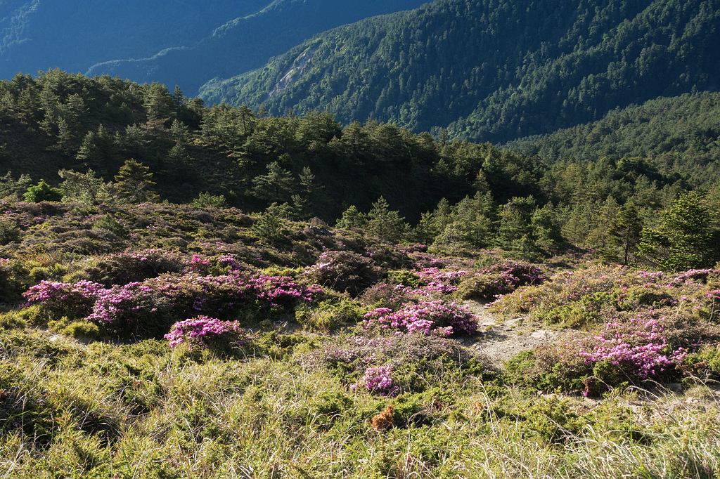 DSC01370.jpg DSC01370.jpg