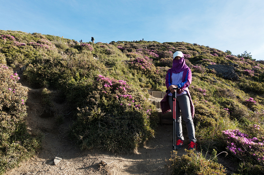 DSC01372.jpg DSC01372.jpg