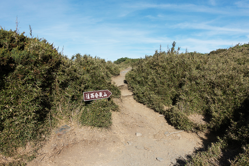 DSC01390.jpg DSC01390.jpg