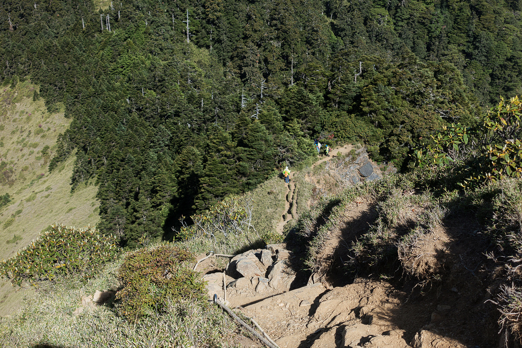 DSC01411.jpg DSC01411.jpg