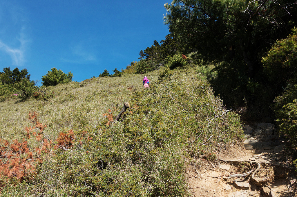 DSC01417.jpg DSC01417.jpg