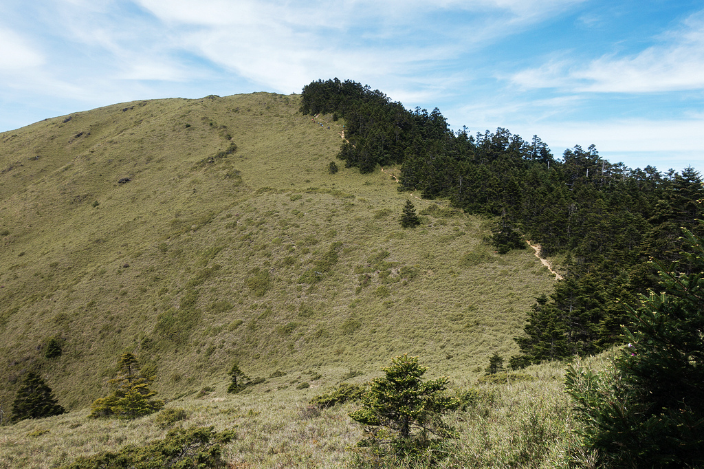 DSC01427.jpg DSC01427.jpg