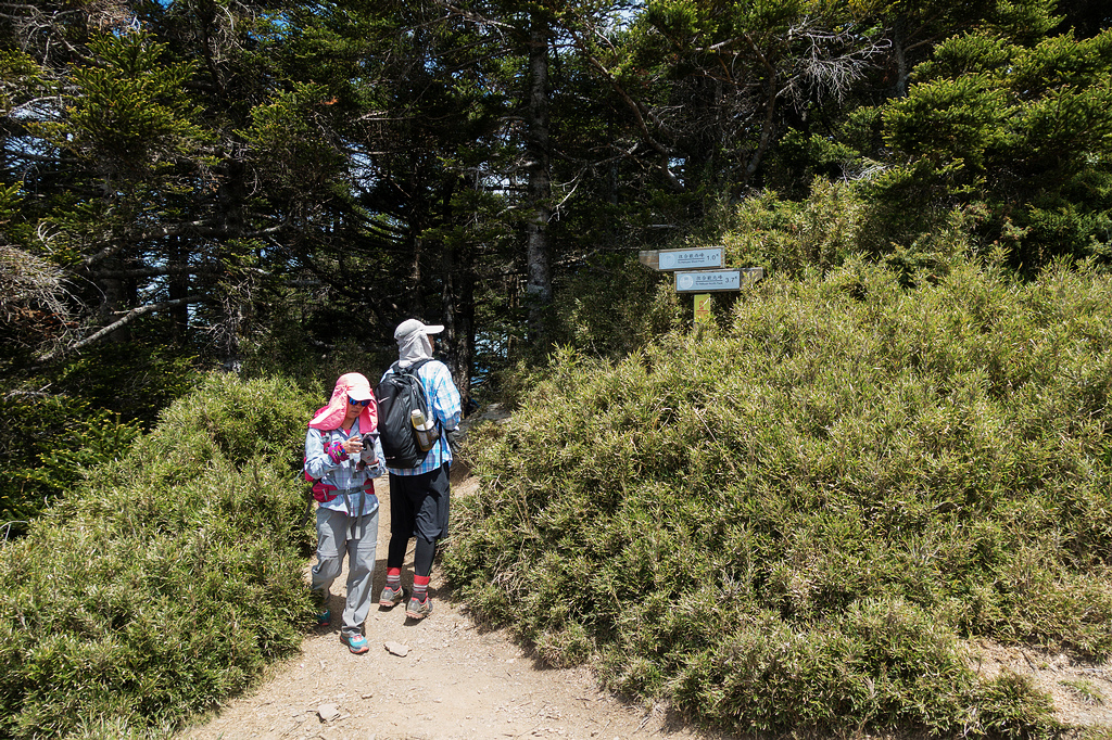 DSC01434.jpg DSC01434.jpg