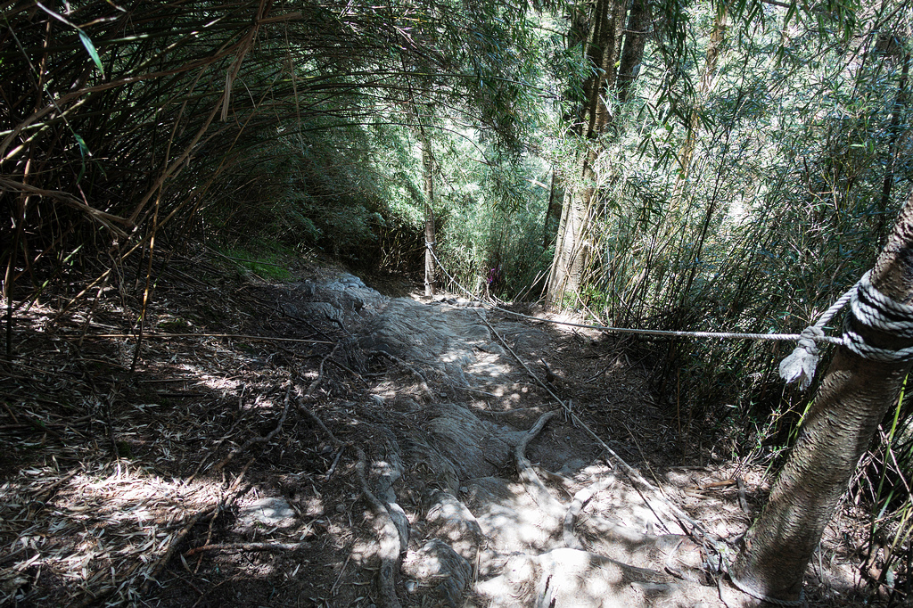 DSC01438.jpg DSC01438.jpg