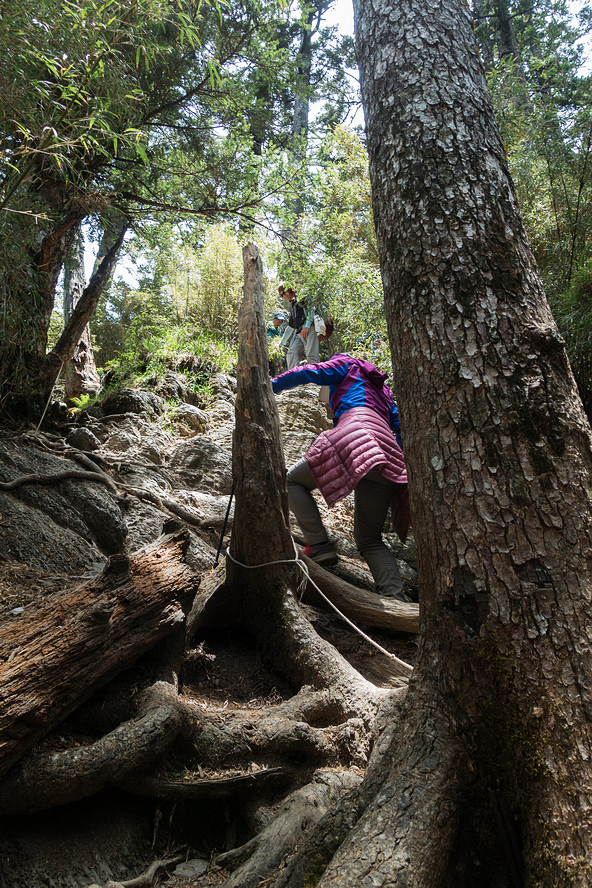 DSC01458.jpg DSC01458.jpg