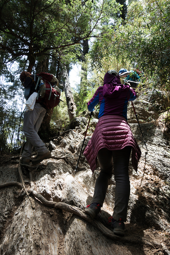 DSC01459.jpg DSC01459.jpg