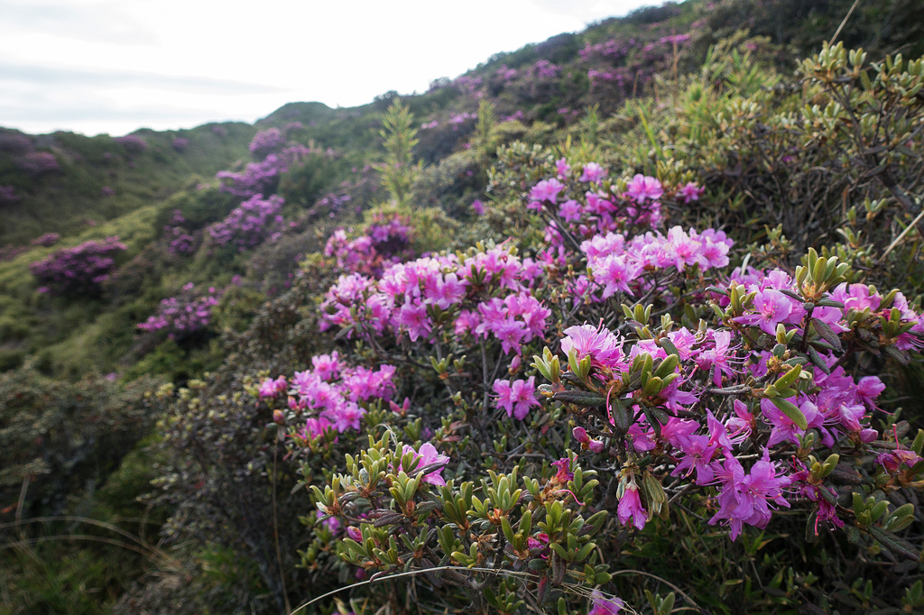 DSC01480.jpg DSC01480.jpg