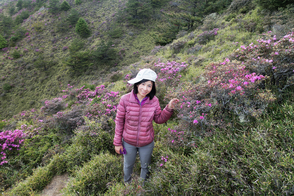 DSC01488-編輯.jpg DSC01488-編輯.jpg