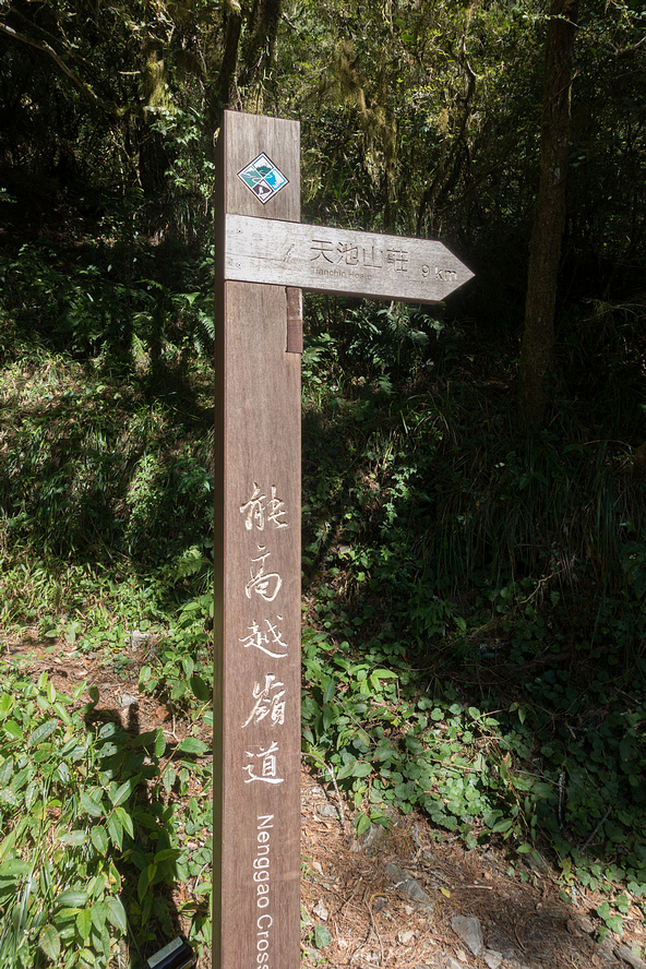 DSC03150.jpg DSC03150.jpg