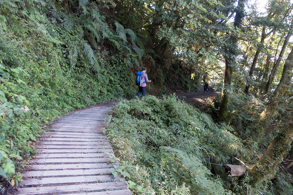 DSC03151.jpg DSC03151.jpg