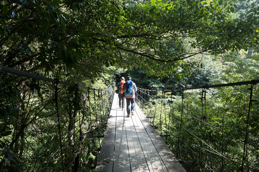 DSC03165.jpg DSC03165.jpg