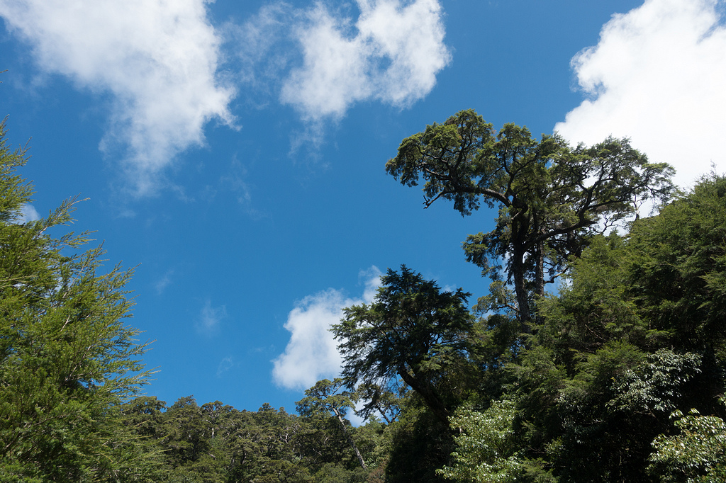 DSC03170.jpg DSC03170.jpg