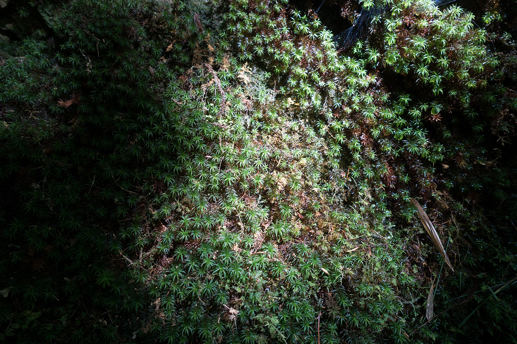 DSC03173.jpg DSC03173.jpg