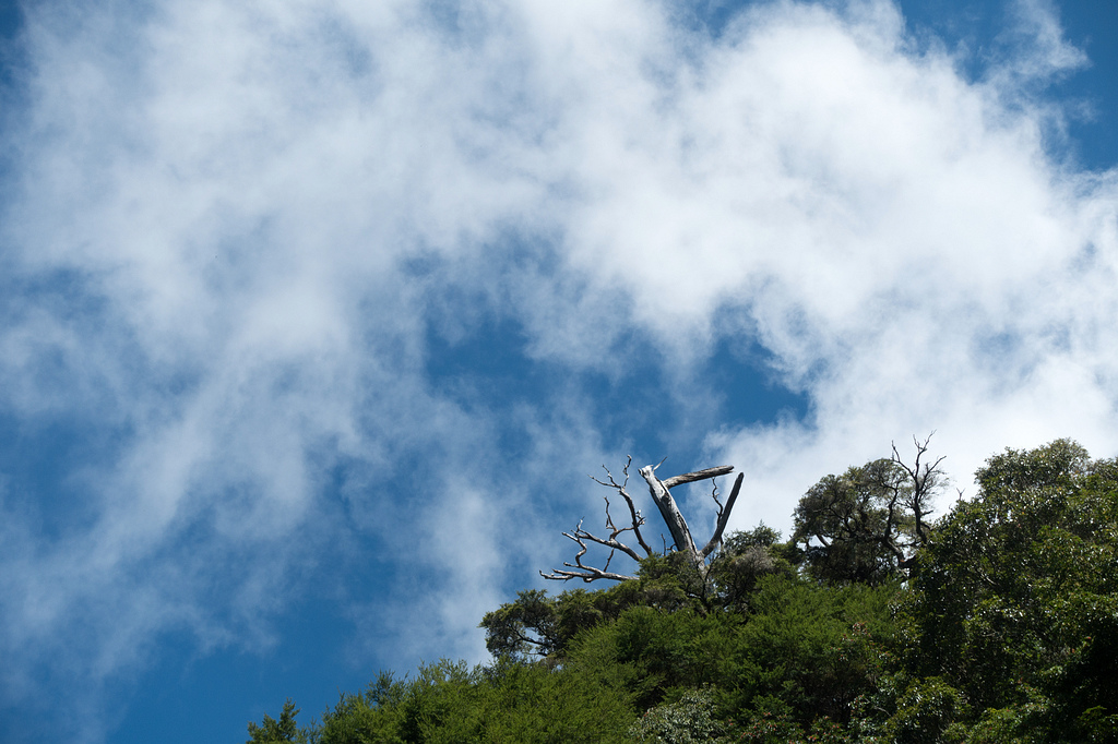 DSC03175.jpg DSC03175.jpg