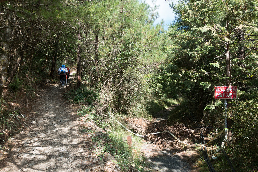 DSC03204.jpg DSC03204.jpg