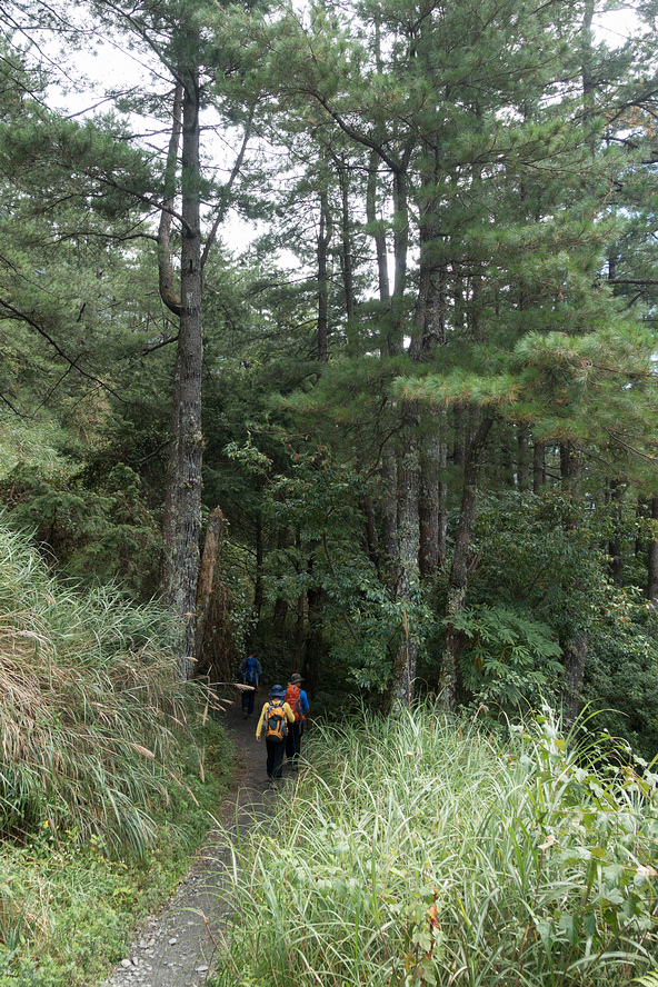 DSC03208.jpg DSC03208.jpg