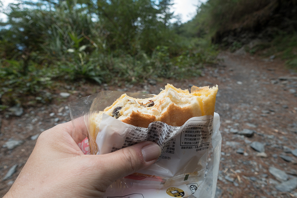 DSC03252.jpg DSC03252.jpg