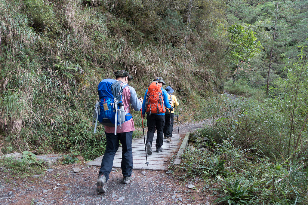 DSC03256.jpg DSC03256.jpg