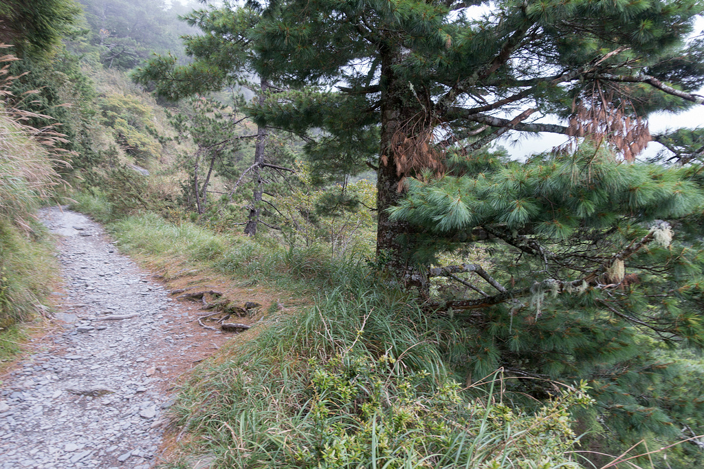 DSC03277.jpg DSC03277.jpg