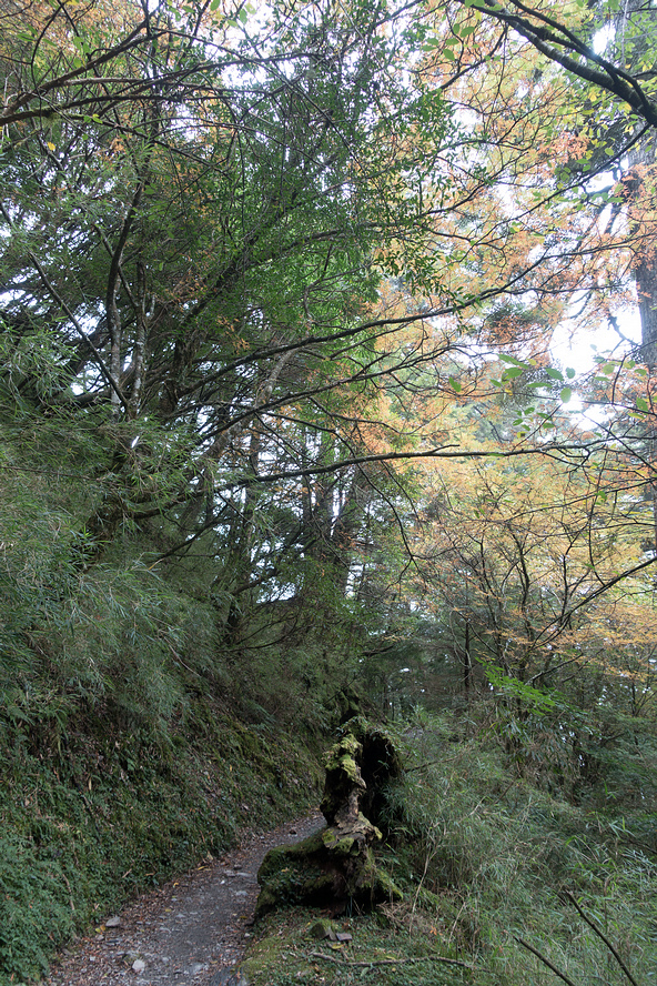 DSC03287.jpg DSC03287.jpg