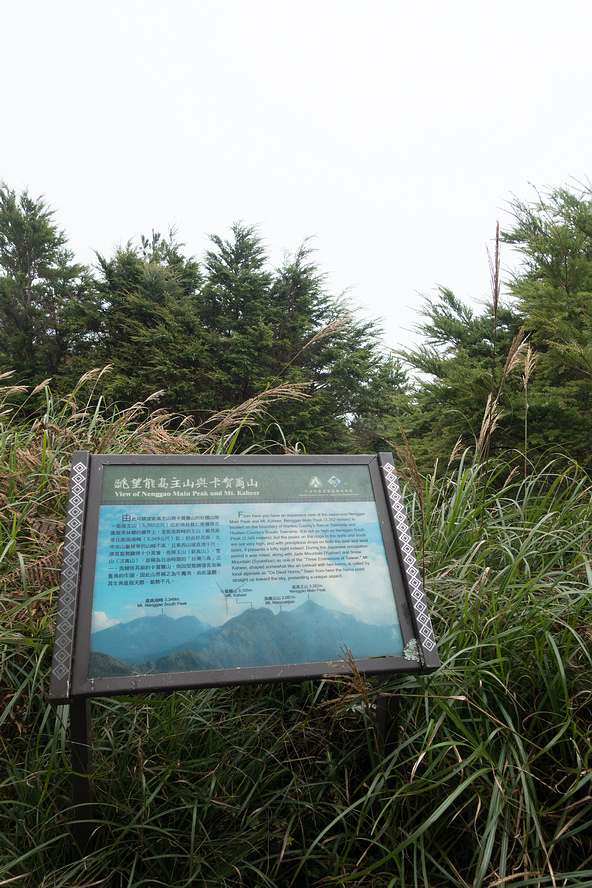 DSC03299.jpg DSC03299.jpg