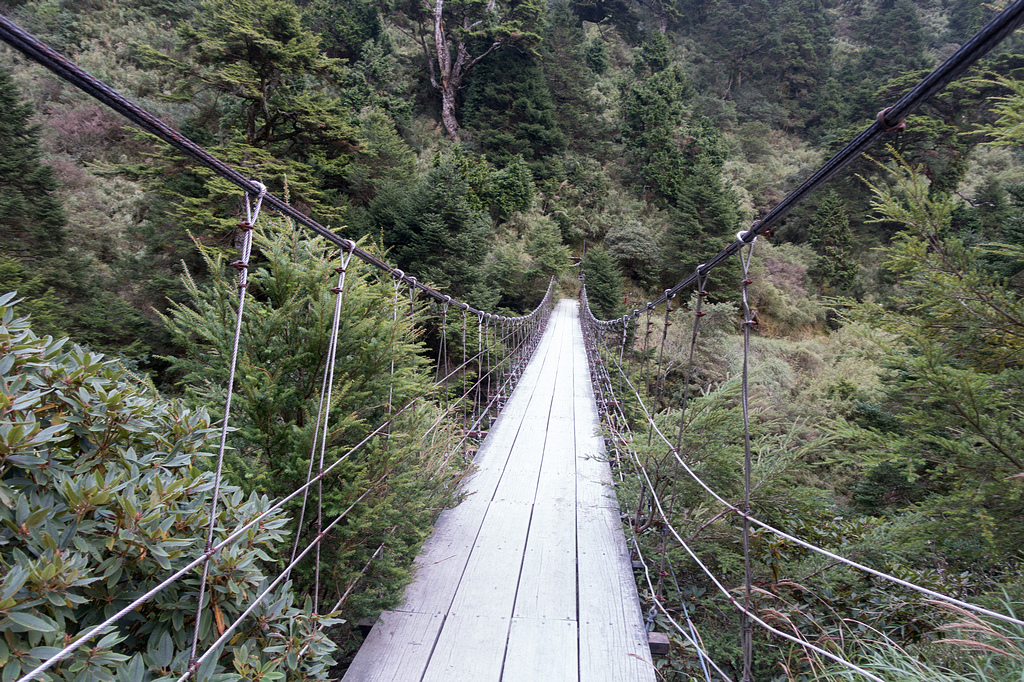 DSC03309.jpg DSC03309.jpg