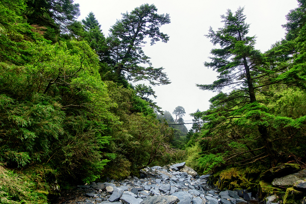 DSC03329-編輯-編輯.jpg DSC03329-編輯-編輯.jpg