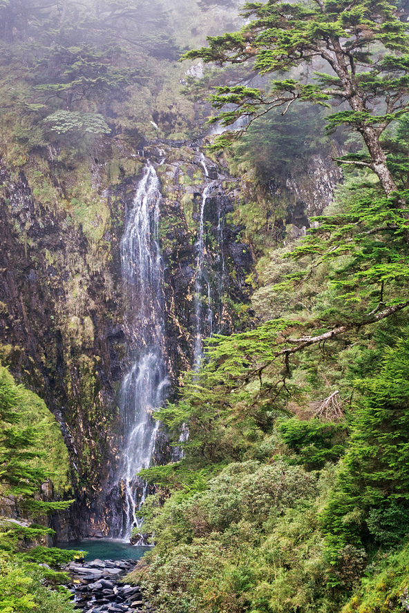 DSC03348-編輯.jpg DSC03348-編輯.jpg