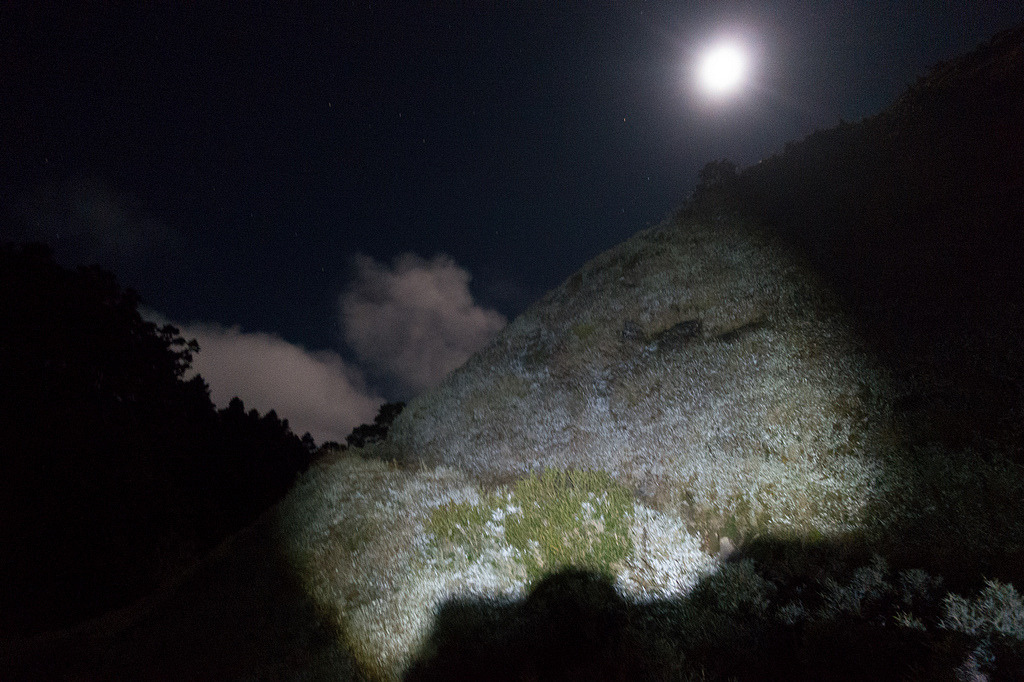 DSC03395.jpg DSC03395.jpg